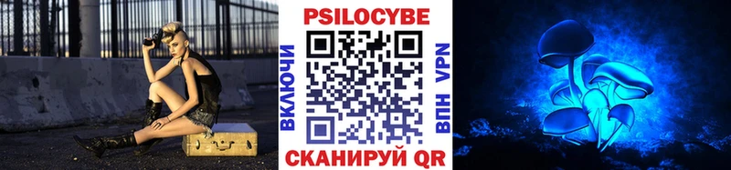 Псилоцибиновые грибы Psilocybe  Козельск 