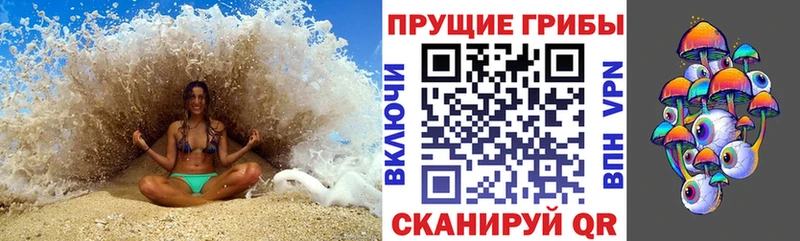 Псилоцибиновые грибы Magic Shrooms Козельск