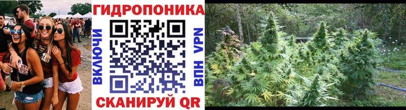 Шишки марихуана сатива  Козельск 